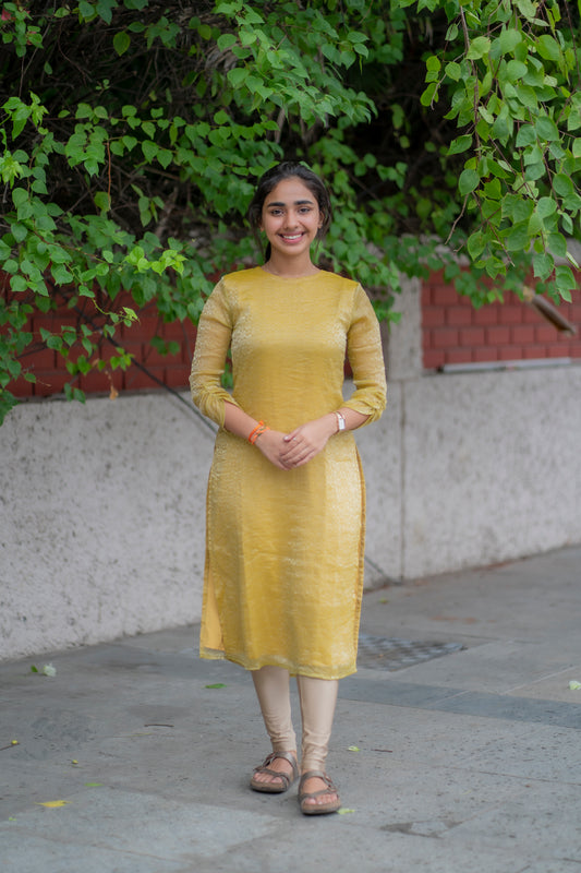 AL 455 Glass tissue kurti with lining