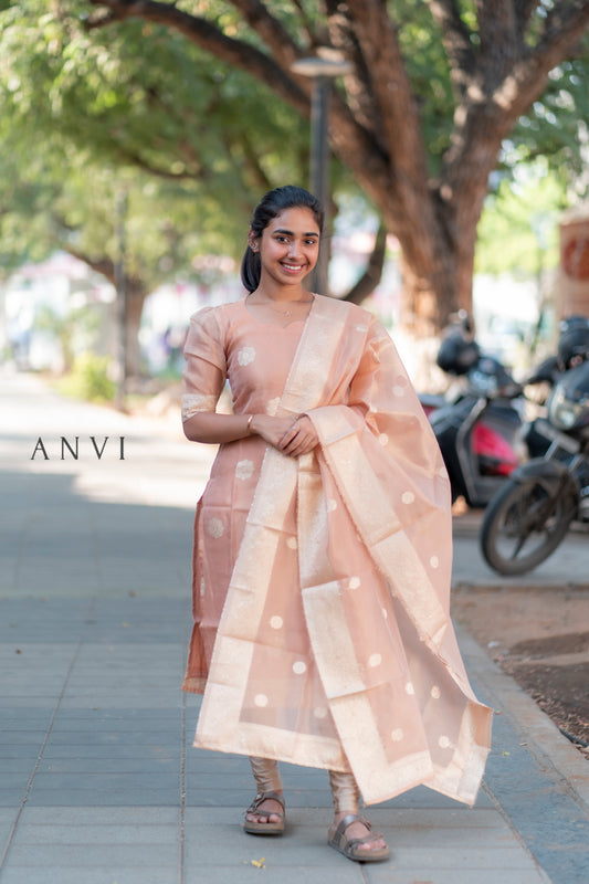 AL 397 Tissue kurti with duppatta (with lining)